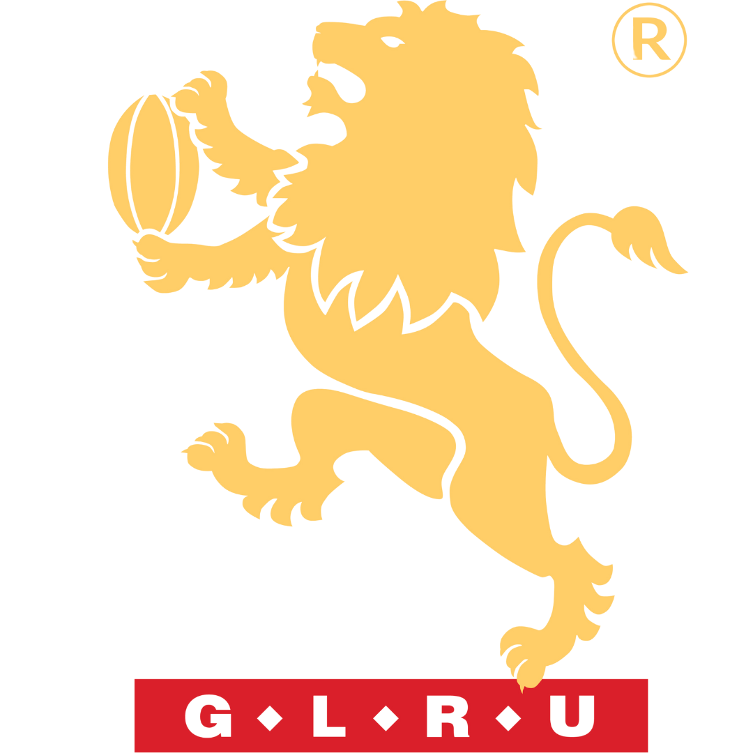 Golden Lions Rugby Union Rugby Development And Excellence